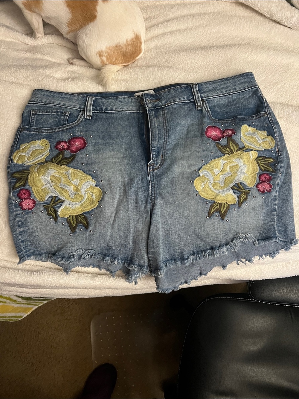 William Rast plus size shorts